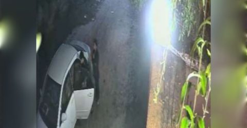 সাভারের গ্রিন জোন রিসোর্টে হাদী হত্যার ছক; সিসিটিভি বিশ্লেষণে বেরিয়ে এলো ভয়ংকর তথ্য